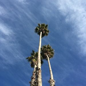 Meet your Posher, Aynaz